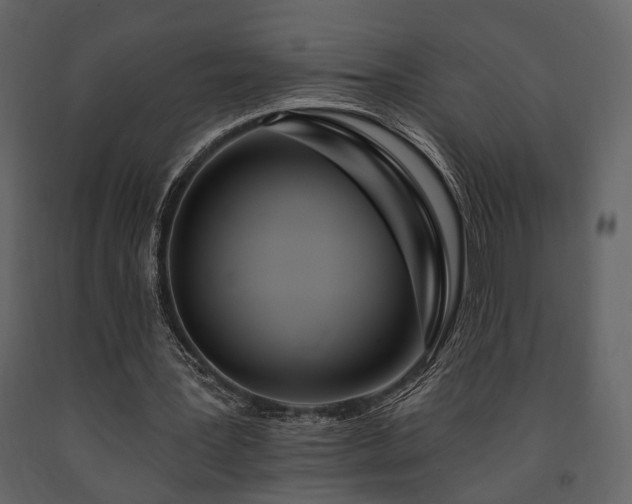 X0000091670387200708231335