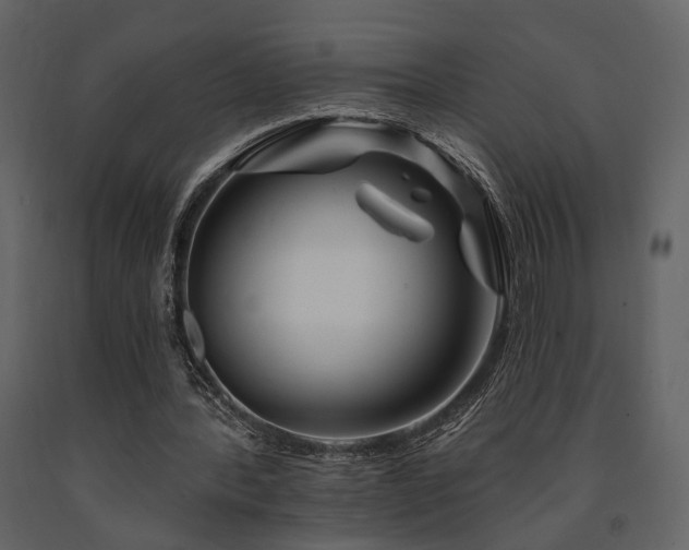 X0000091670388200708231335