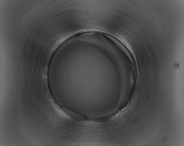 X0000091670389200708231335