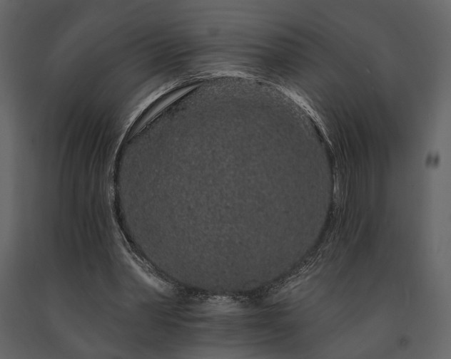 X0000091670390200708231335