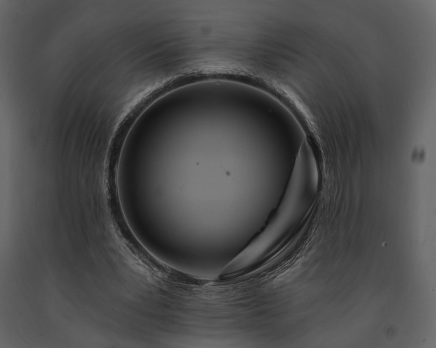 X0000091670391200708231335