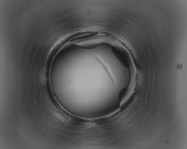 X0000091670392200708231335
