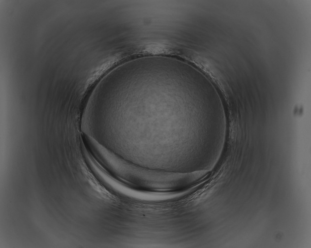 X0000091670393200708231334