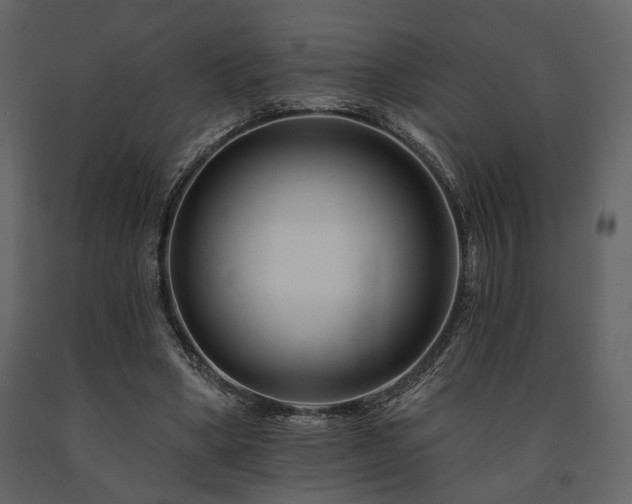 X0000091670394200708231334