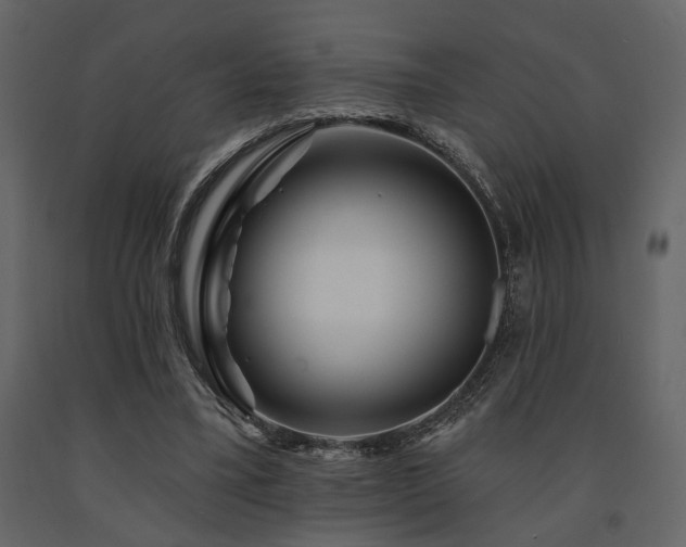 X0000091670395200708231334