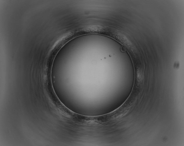 X0000091670396200708231334
