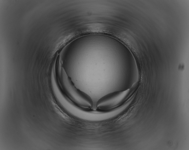 X0000091670397200708231334