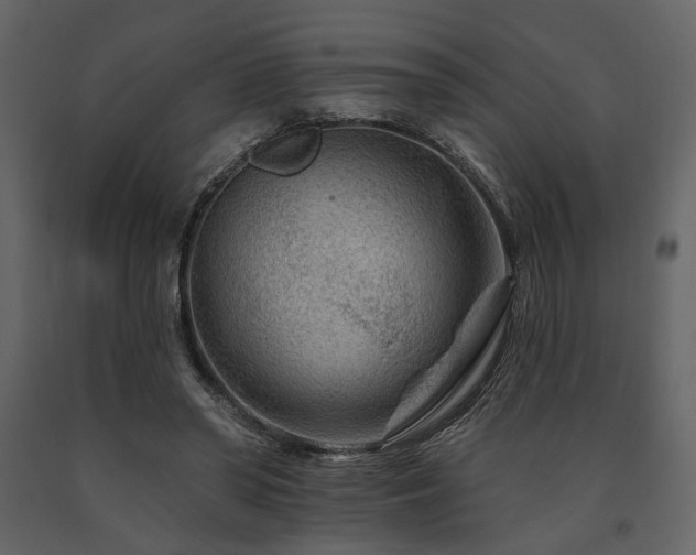 X0000091670398200708231334