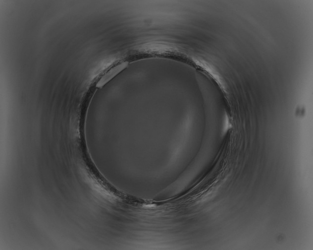X0000091670399200708231334