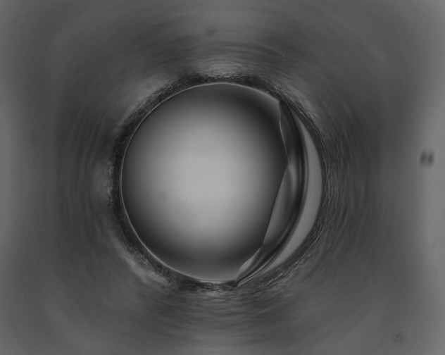 X0000091670400200708231334