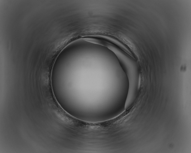 X0000091670401200708231334