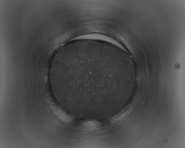 X0000091670402200708231334