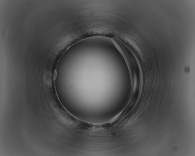 X0000091670403200708231334