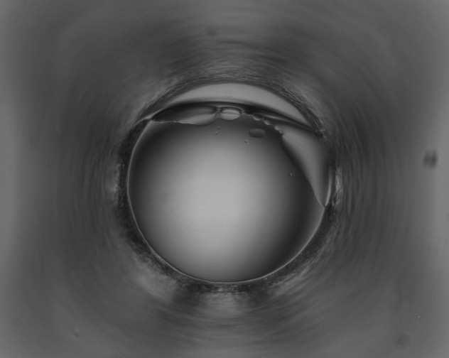 X0000091670404200708231334