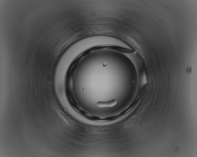 X0000091670405200708231334