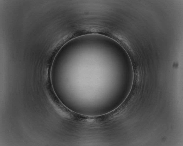 X0000091670406200708231334