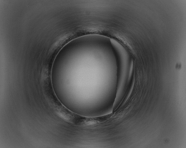 X0000091670407200708231334