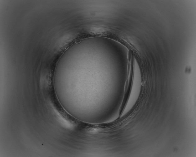 X0000091670408200708231334
