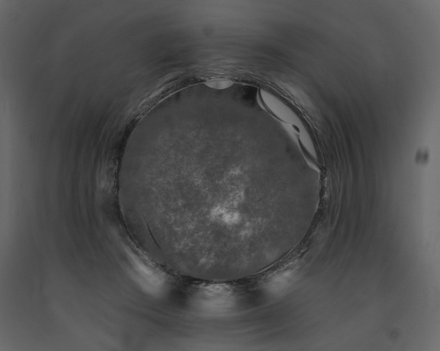 X0000091670409200708231334