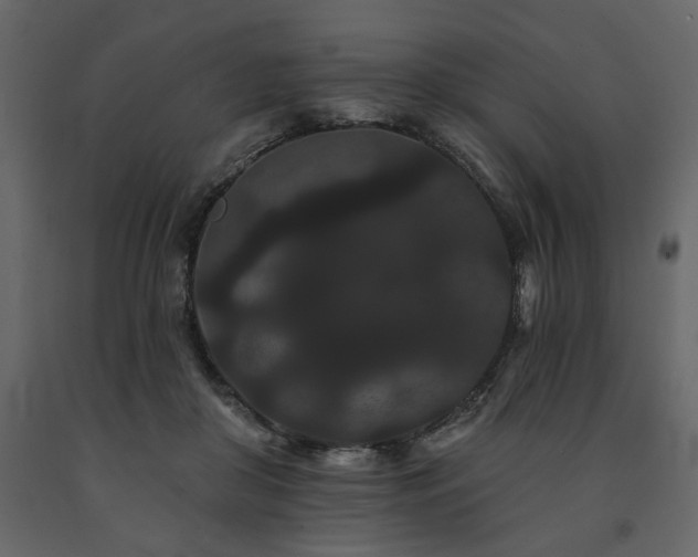 X0000091670410200708231334