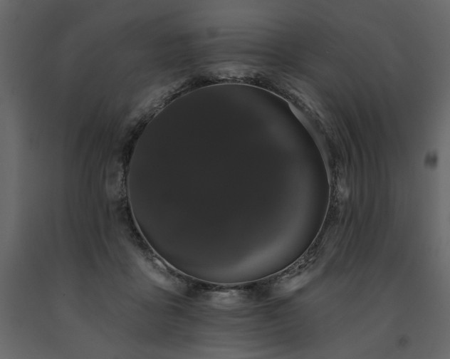 X0000091670411200708231334