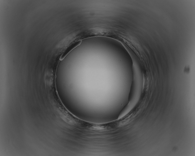 X0000091670413200708231334