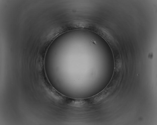 X0000091670414200708231334