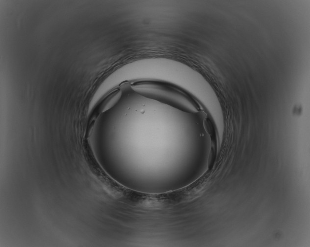 X0000091670416200708231334