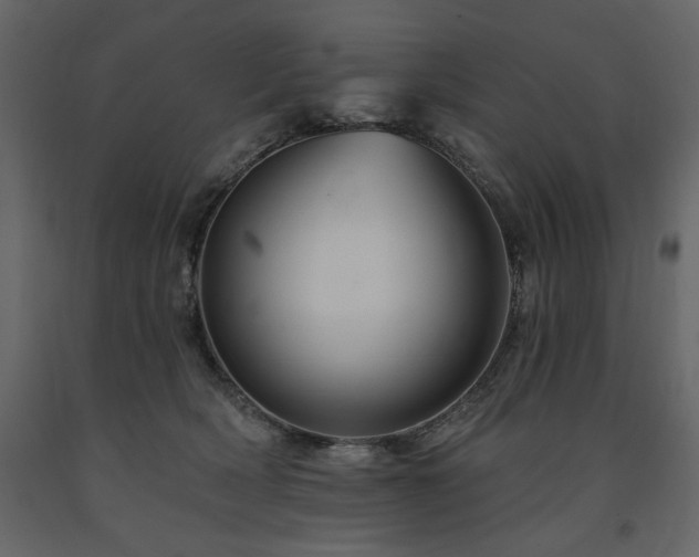 X0000091670418200708231334
