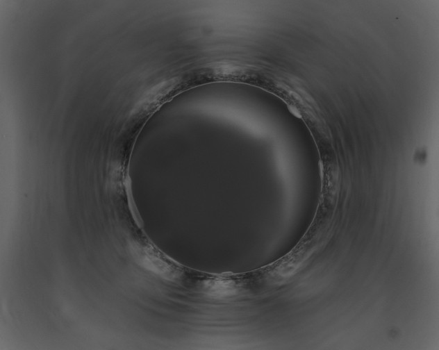X0000091670419200708231334