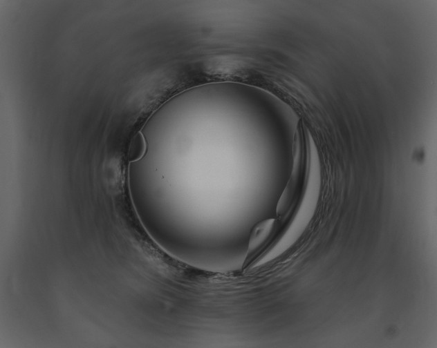 X0000091670420200708231334