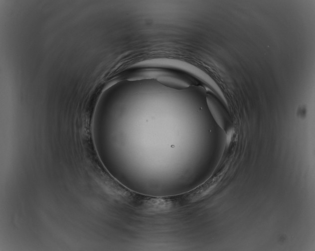 X0000091670421200708231334