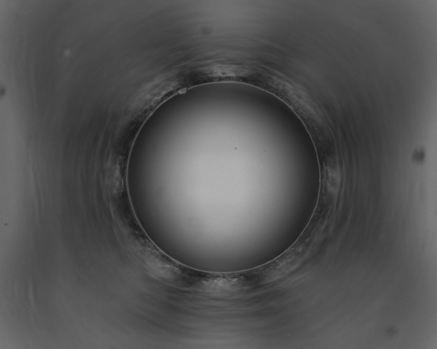 X0000091670422200708231334