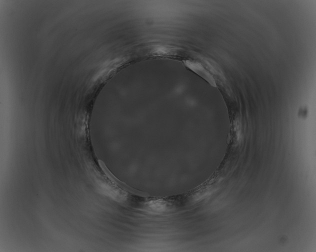 X0000091670423200708231334