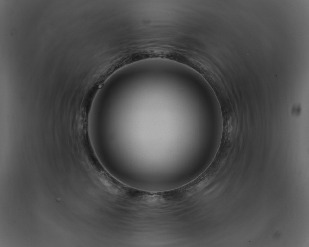 X0000091670424200708231334