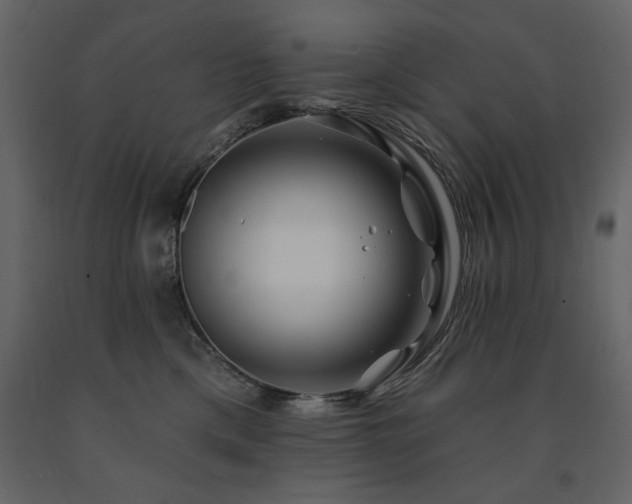 X0000091670425200708231334