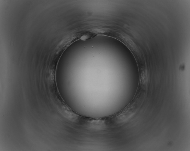 X0000091670426200708231334