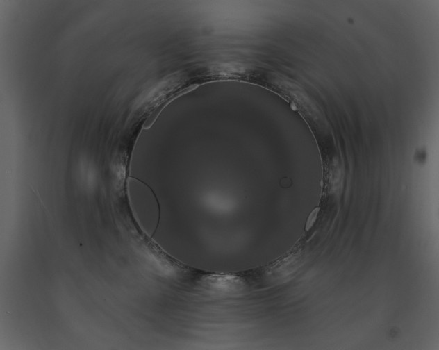 X0000091670427200708231334