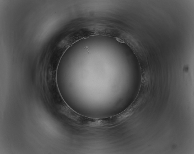 X0000091670430200708231334