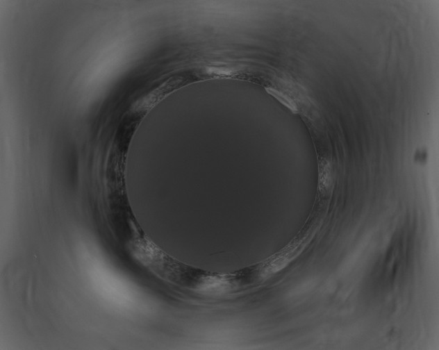 X0000091670431200708231334