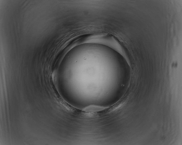 X0000091670432200708231334