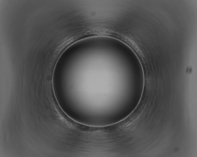 X0000091670433200708231333