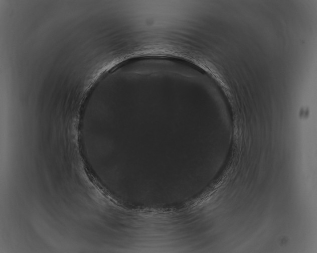 X0000091670434200708231333