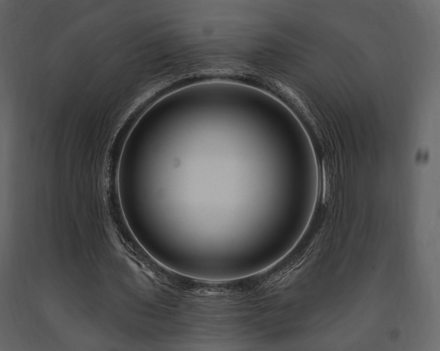 X0000091670435200708231333