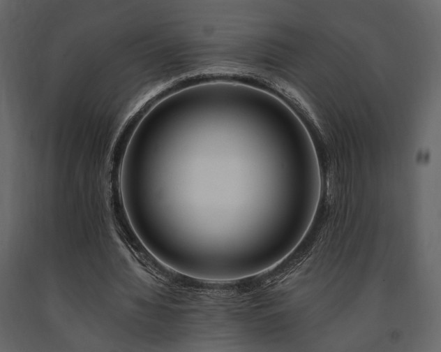 X0000091670436200708231333