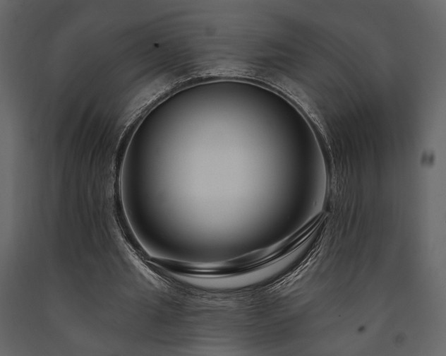 X0000091670437200708231333