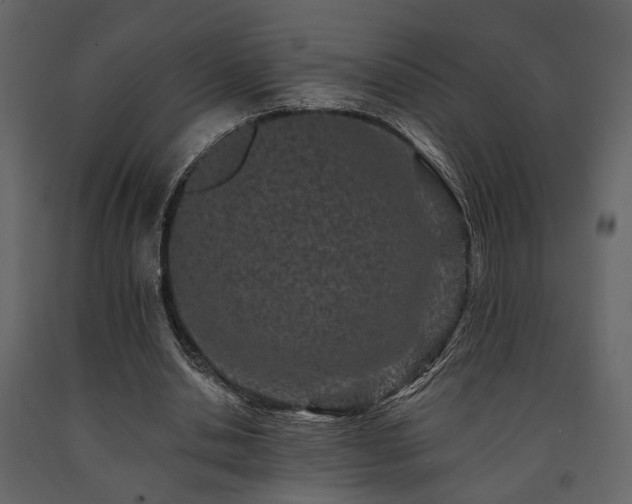 X0000091670438200708231333
