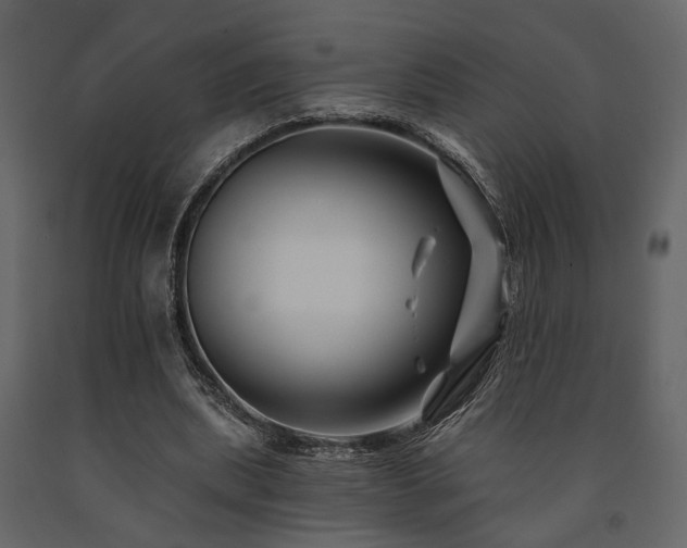 X0000091670439200708231333