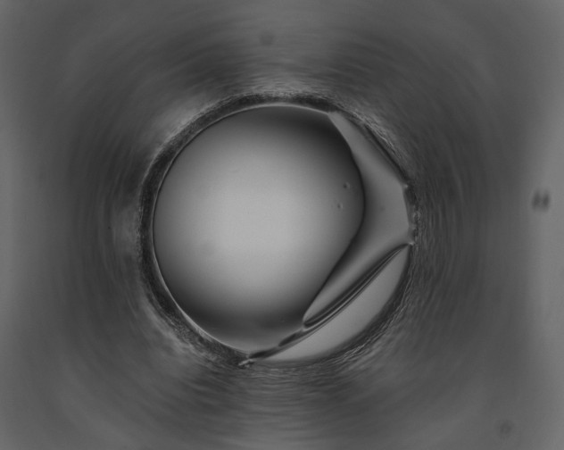 X0000091670440200708231333