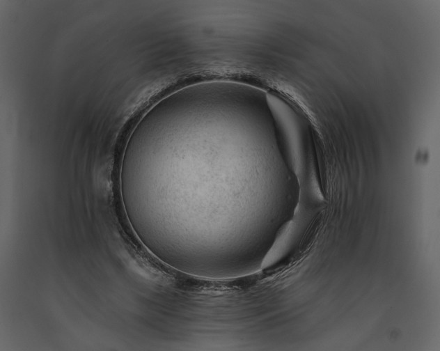 X0000091670443200708231333
